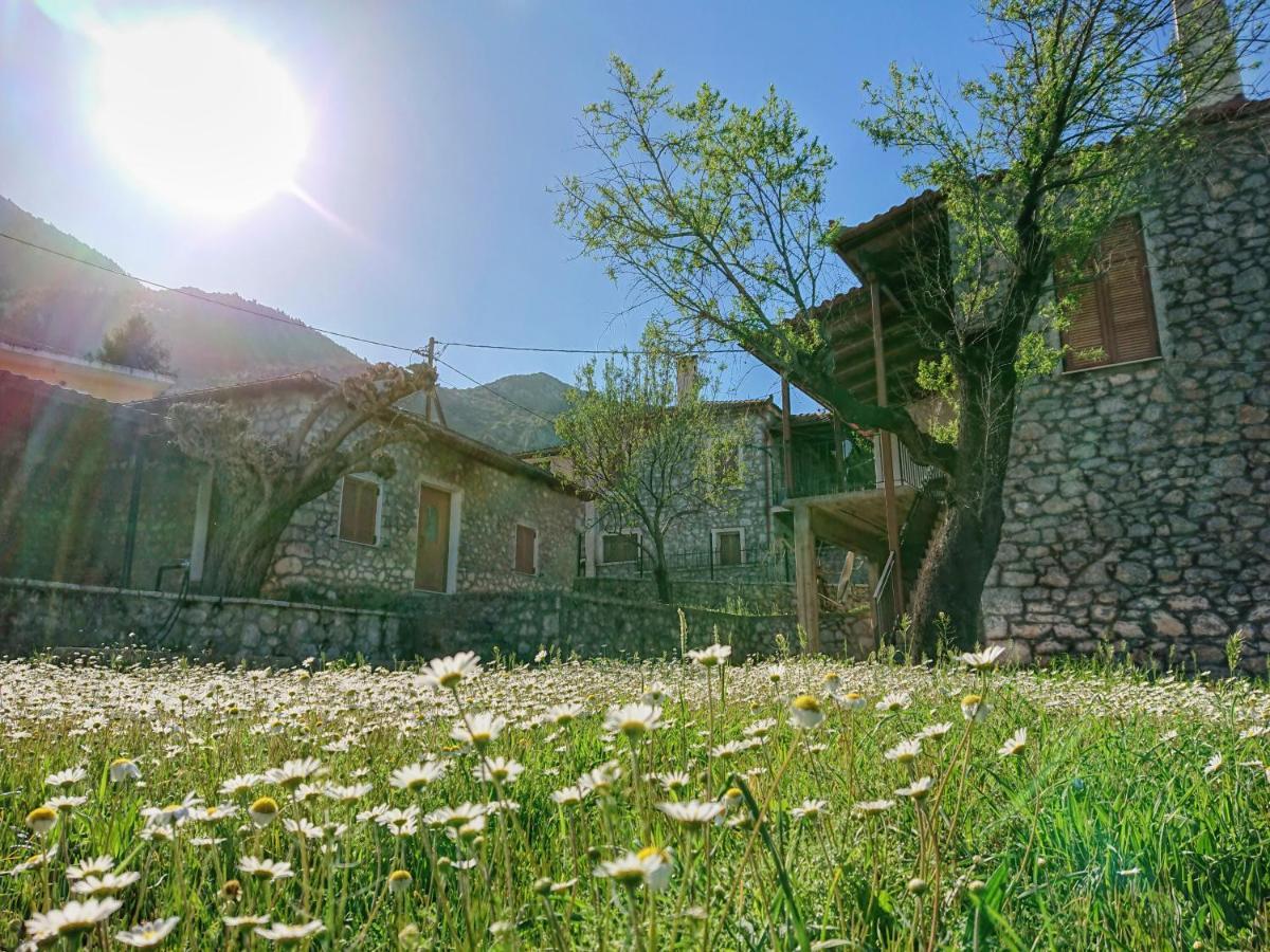 1935 Home Lílaia Zewnętrze zdjęcie